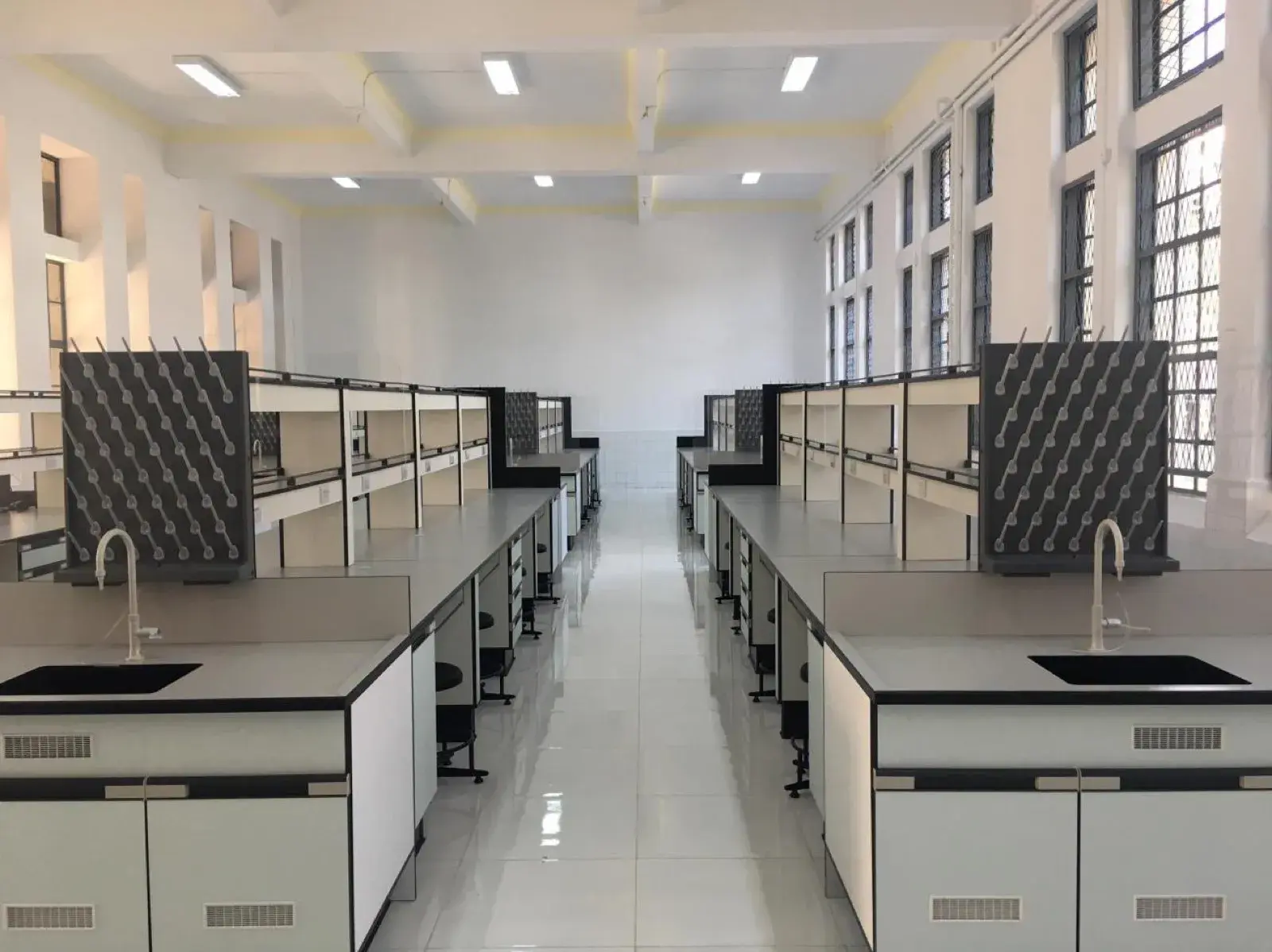 The finished microbiology laboratory — full length of the rebuilt teaching lab