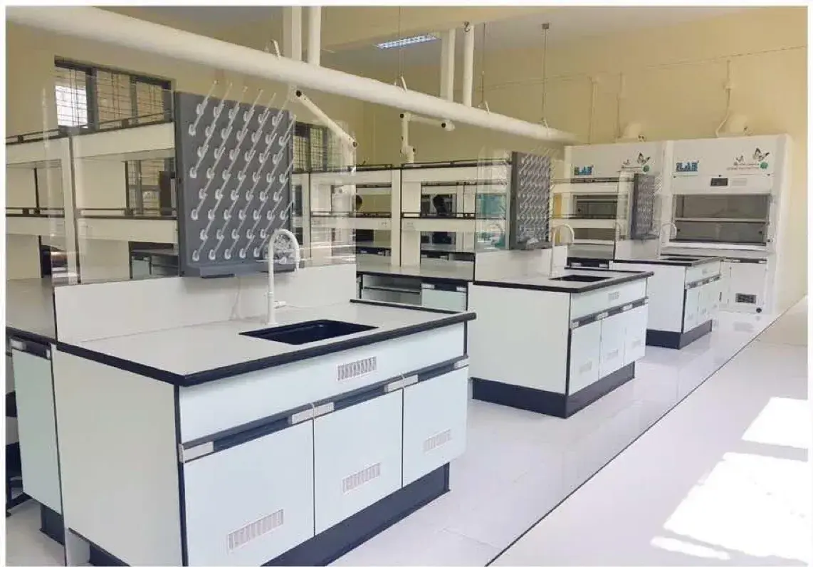 The rebuilt chemistry laboratory — new island benching and fume hood run